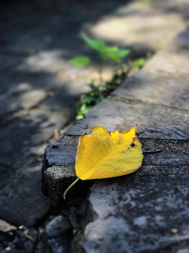 life_photo_1