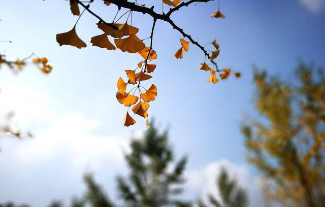 life_photo_0