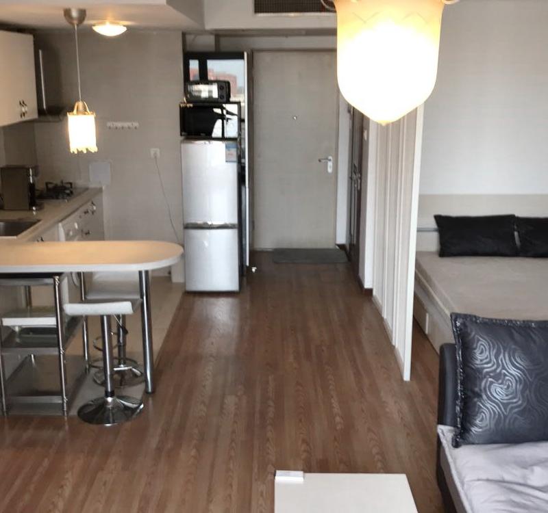 Beijing-Chaoyang-Single Apartment,Pet Friendly,Replacement,LGBTQ Friendly
