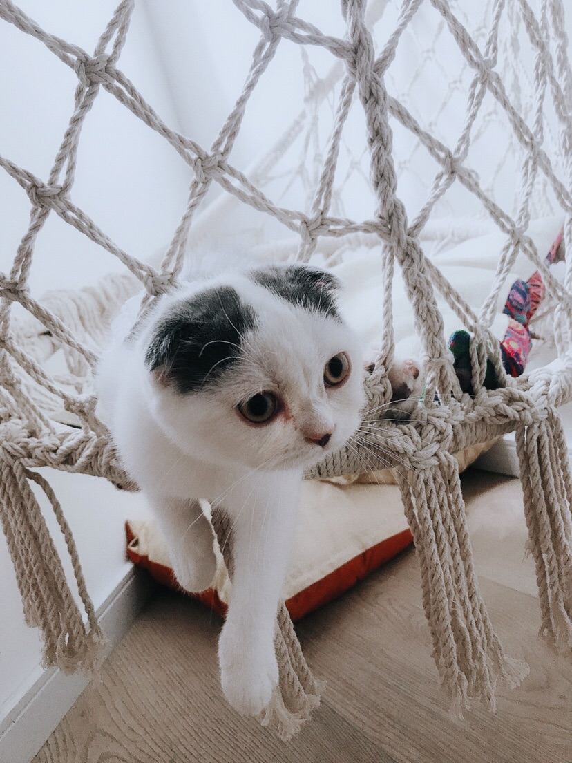 life_photo_0