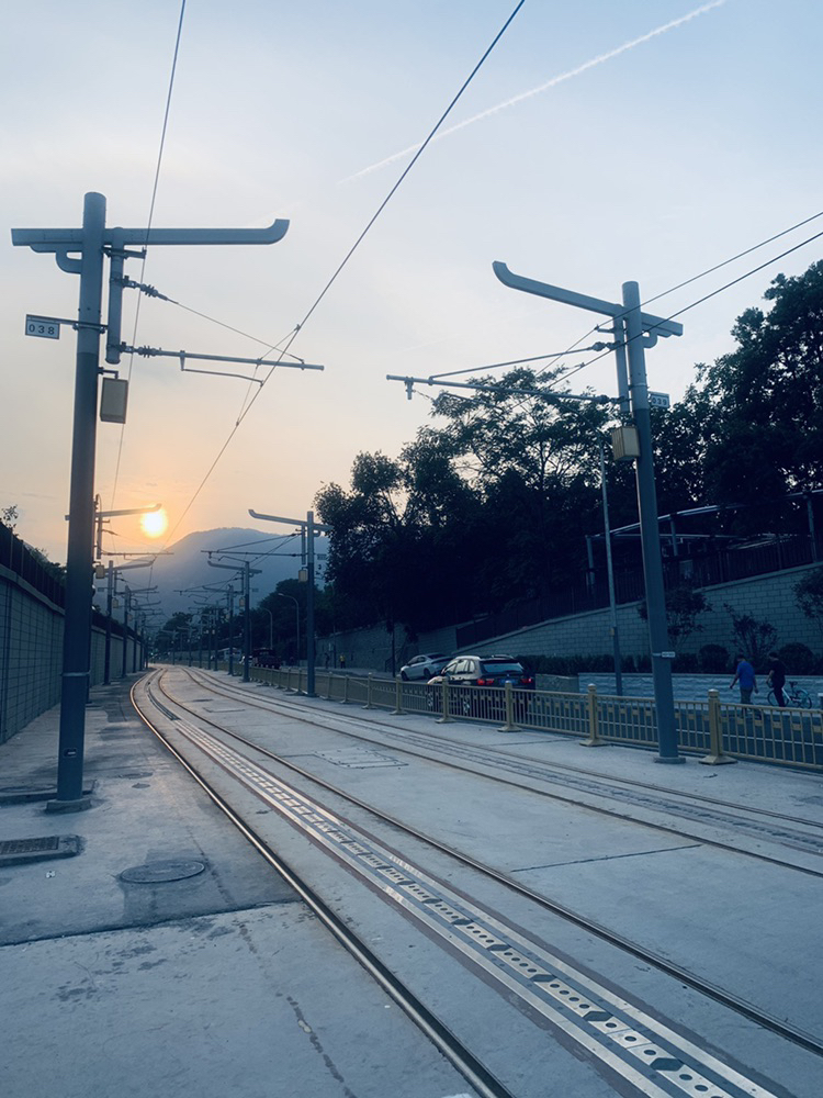 life_photo_3