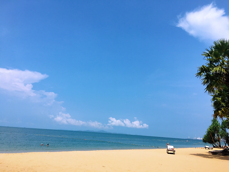 life_photo_1