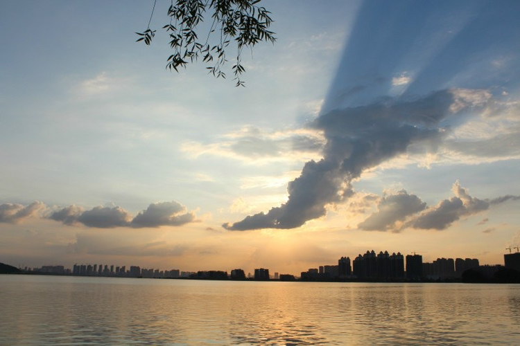 life_photo_2