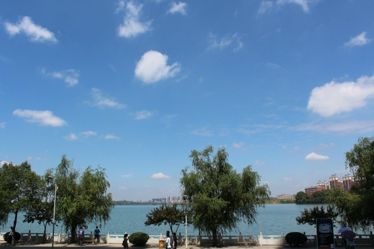 life_photo_1