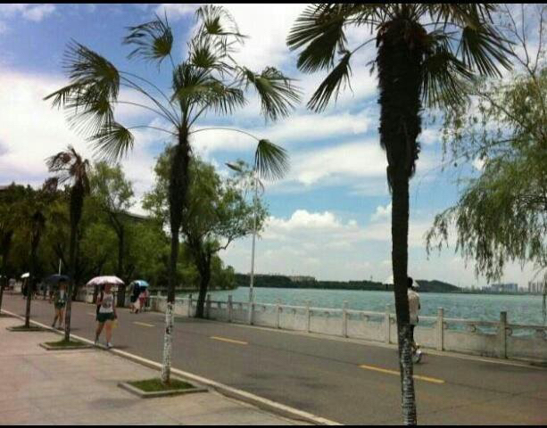 life_photo_0