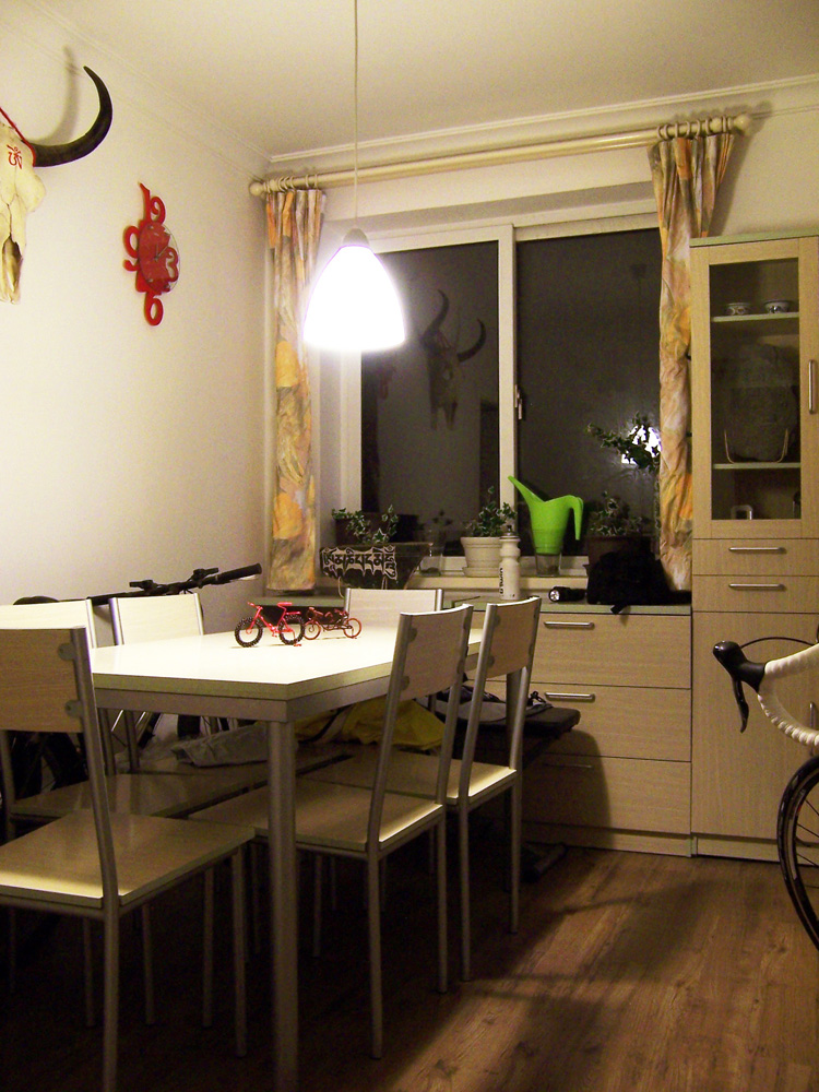 Shanghai-Pudong-Pet Friendly