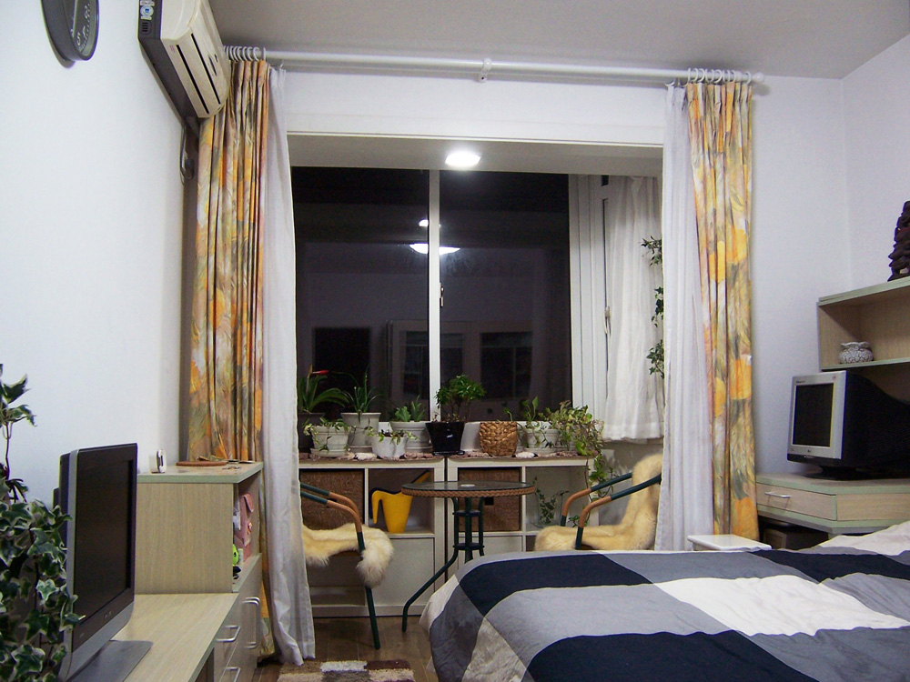 Shanghai-Pudong-Pet Friendly