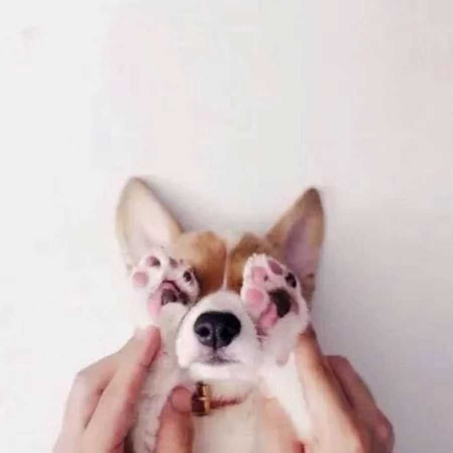十二。