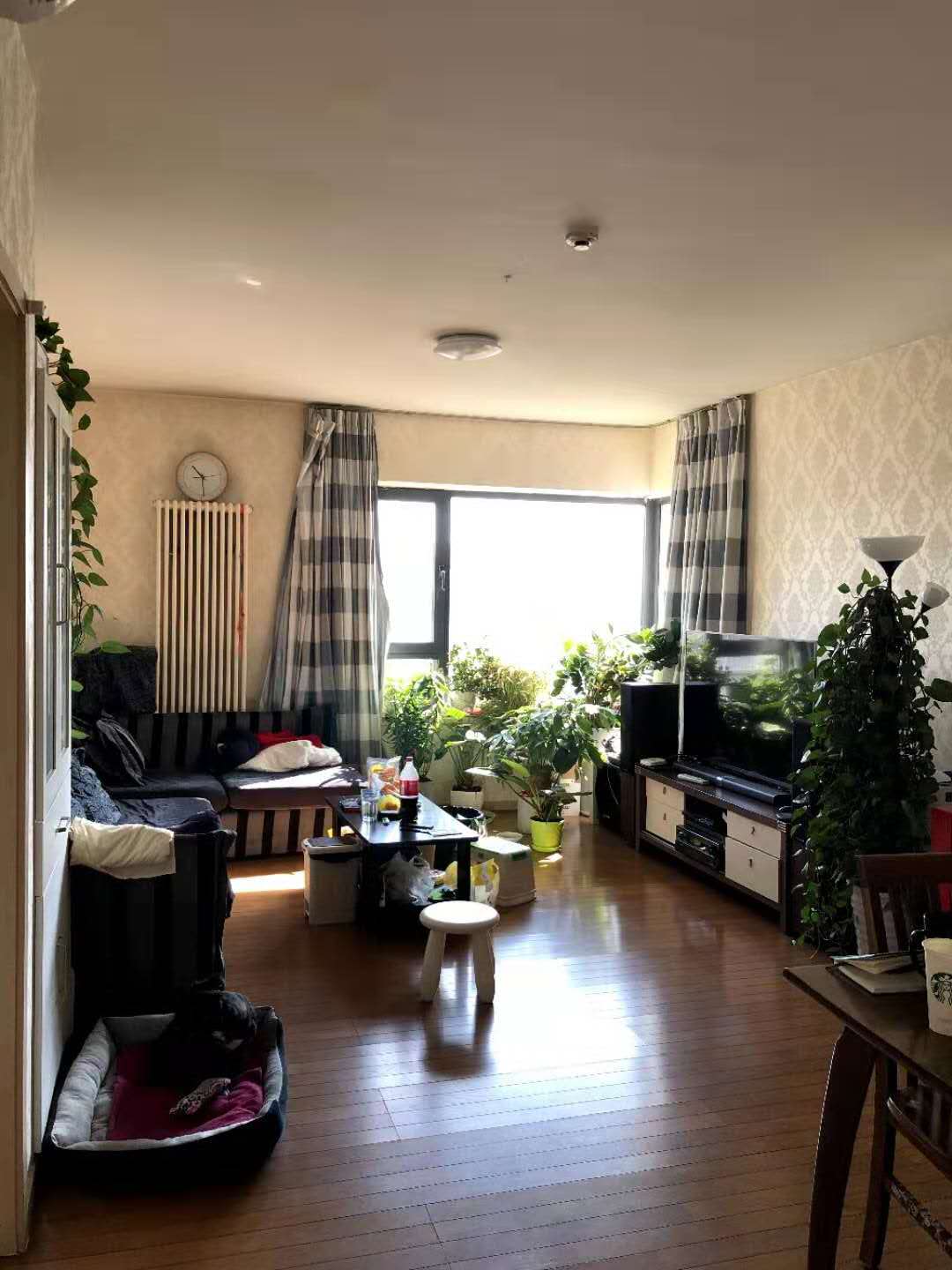 BeijingChaoyangCBDShared ApartmentLGBTQ Friendly