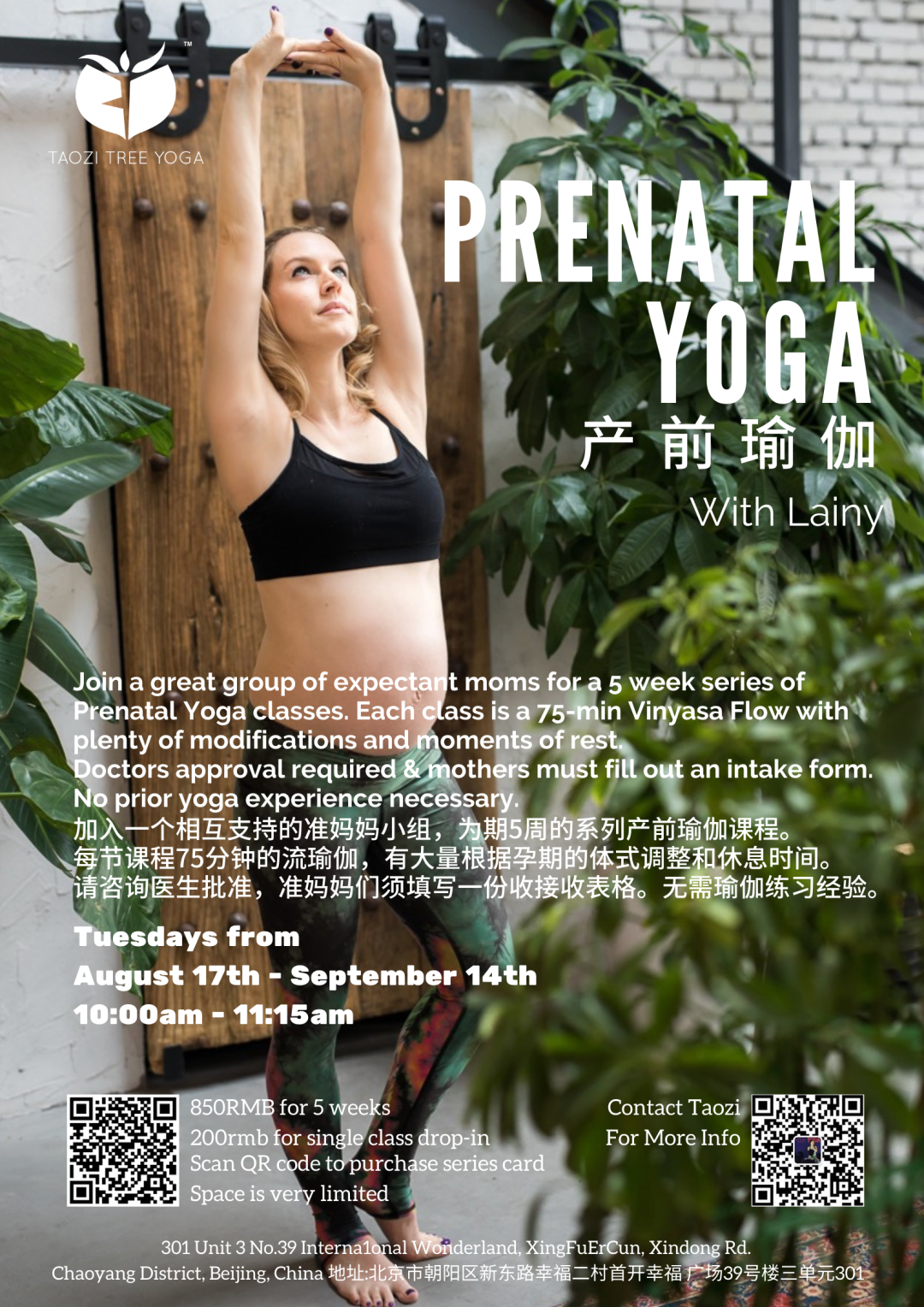 Prenatal Yoga_0