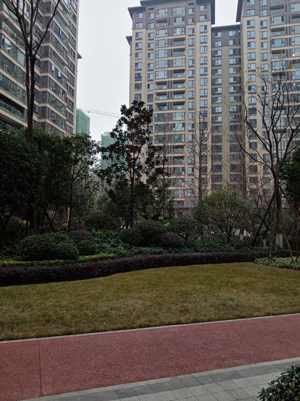成都-龙泉驿-温馨小窝,干净治愈,市井烟火气,慢时光