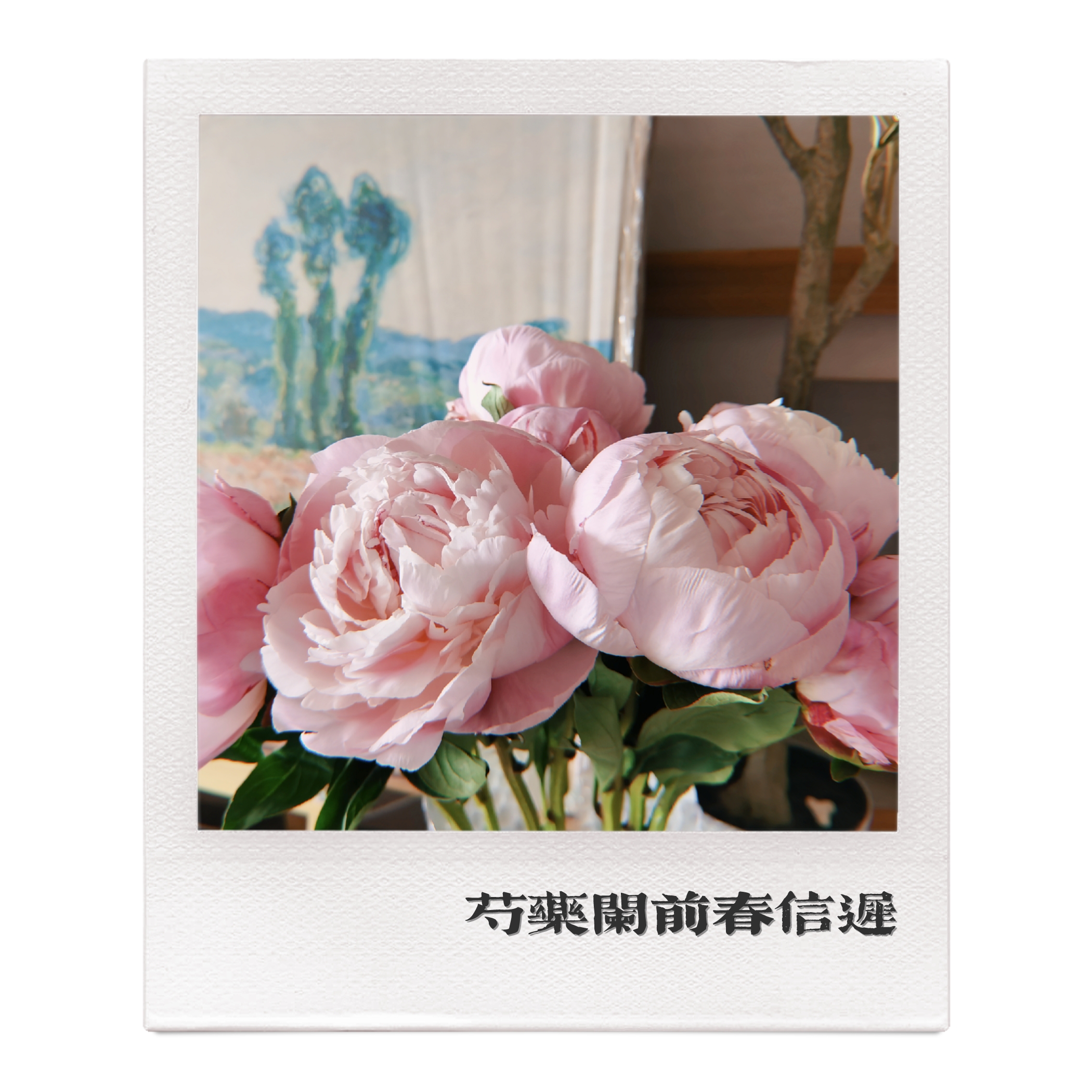 我从不怀疑一束花的心意💕