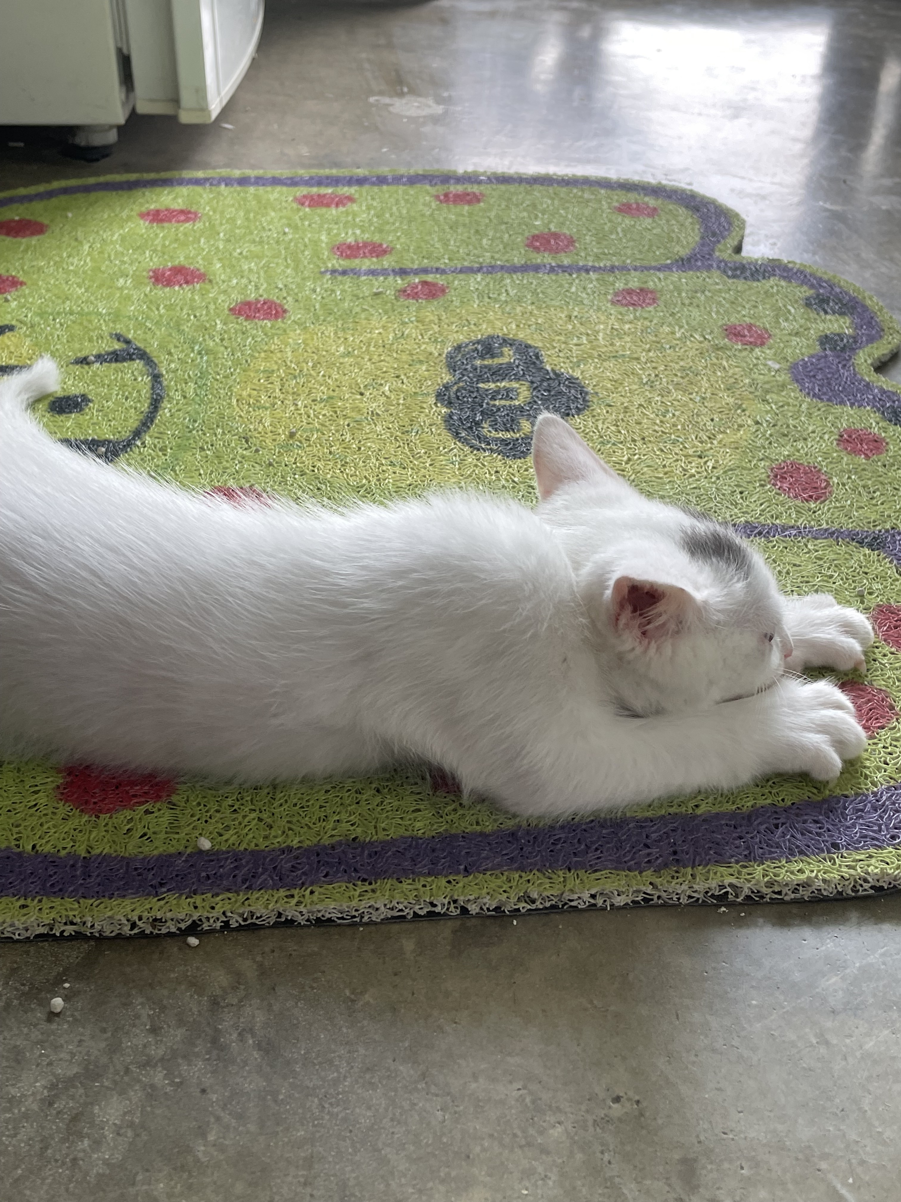 朱家角生活日常-疫情之下的放风_3