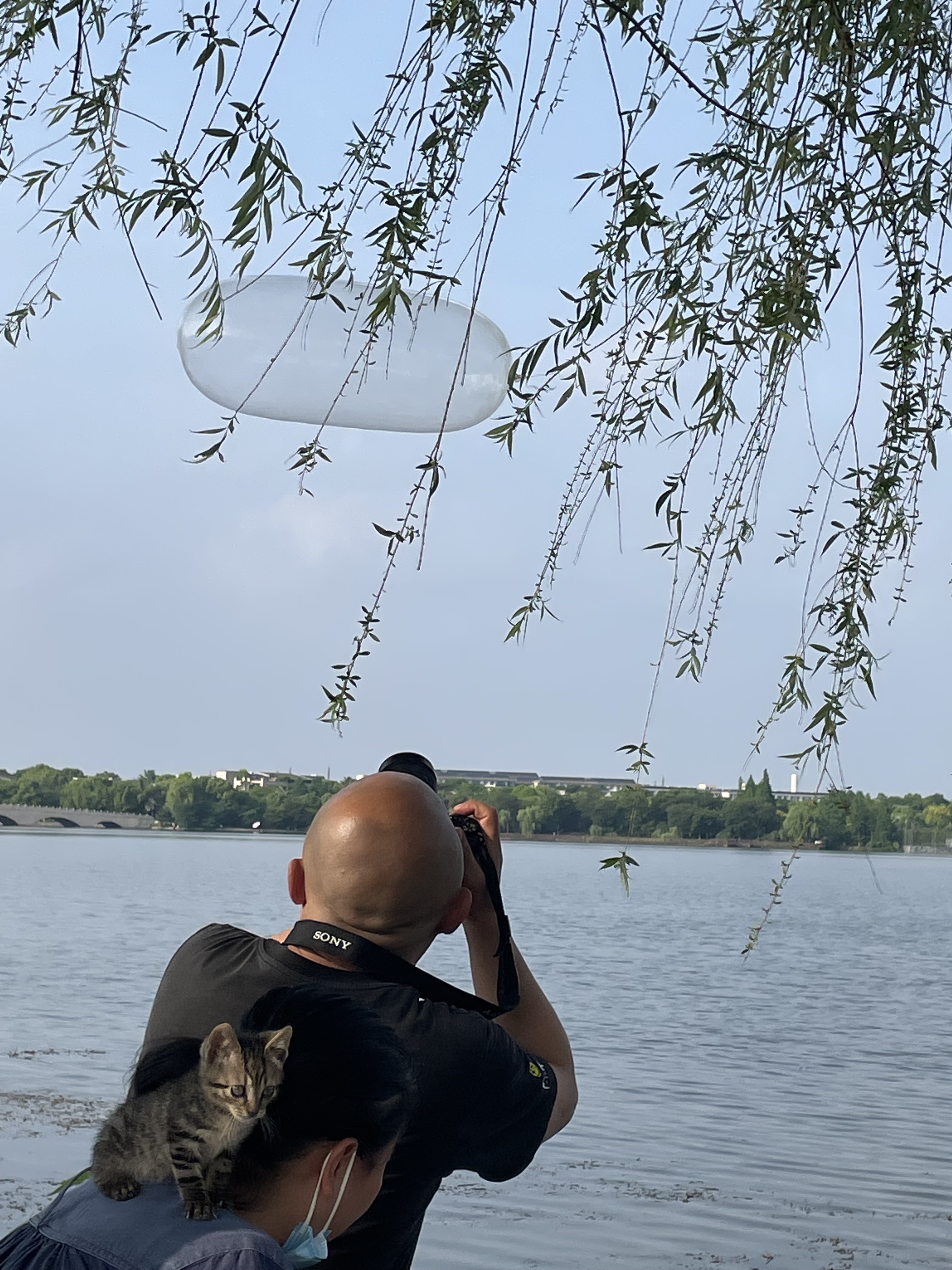 朱家角生活日常-疫情之下的放风_2