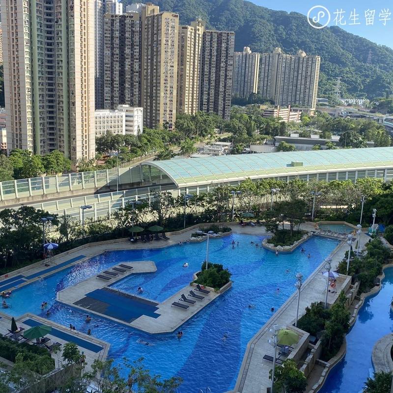 Hong Kong-New Territories-Long Term,Seeking Flatmate,Shared Apartment,LGBTQ Friendly
