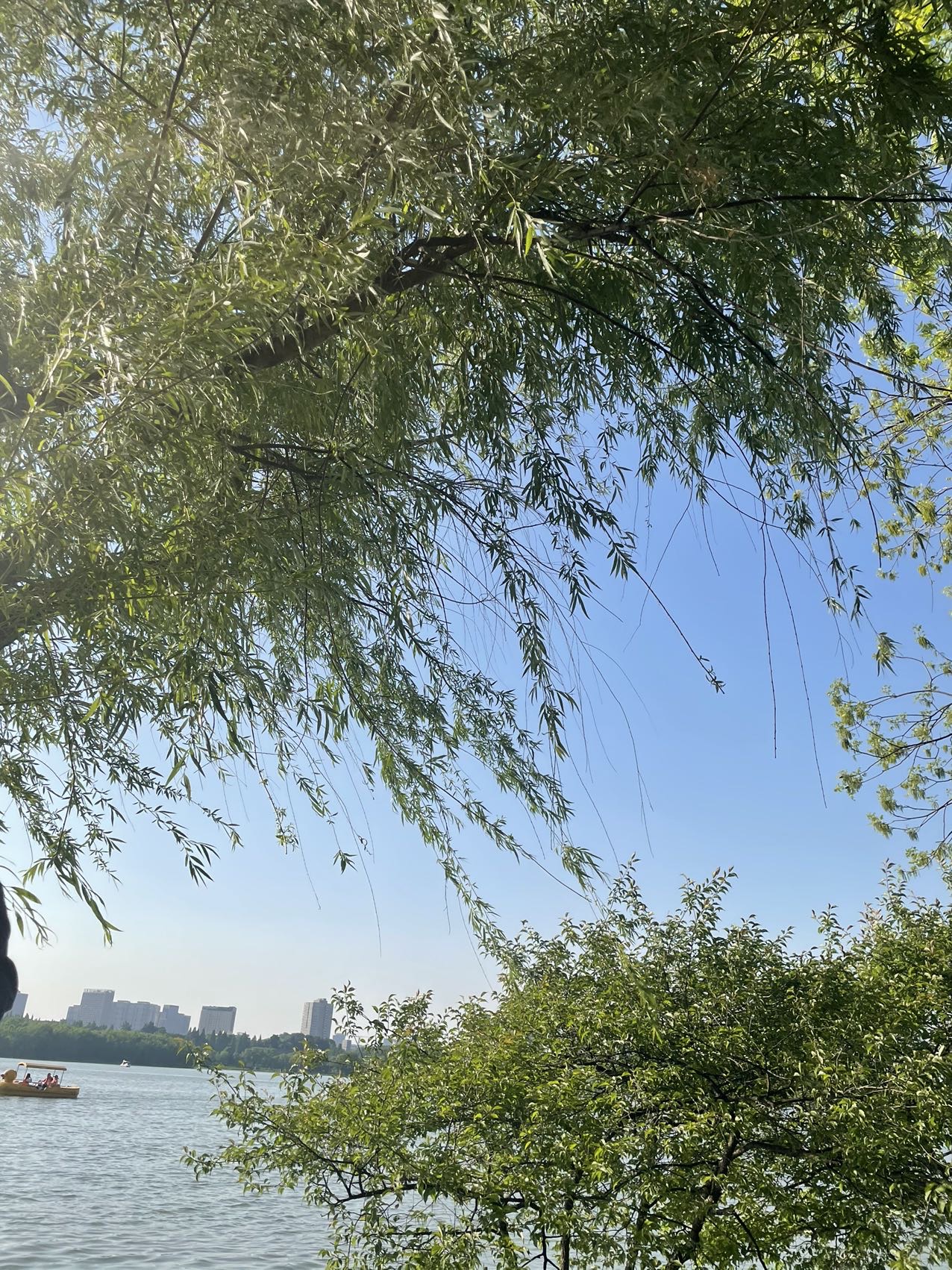 阿白