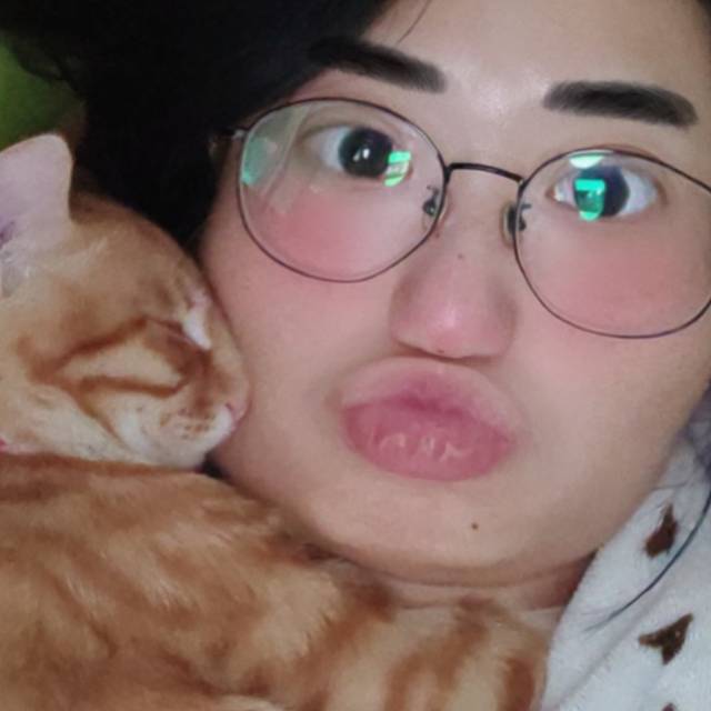 谁呢收留这位可怜的小猫咪和他的主银（在成都青羊）_1