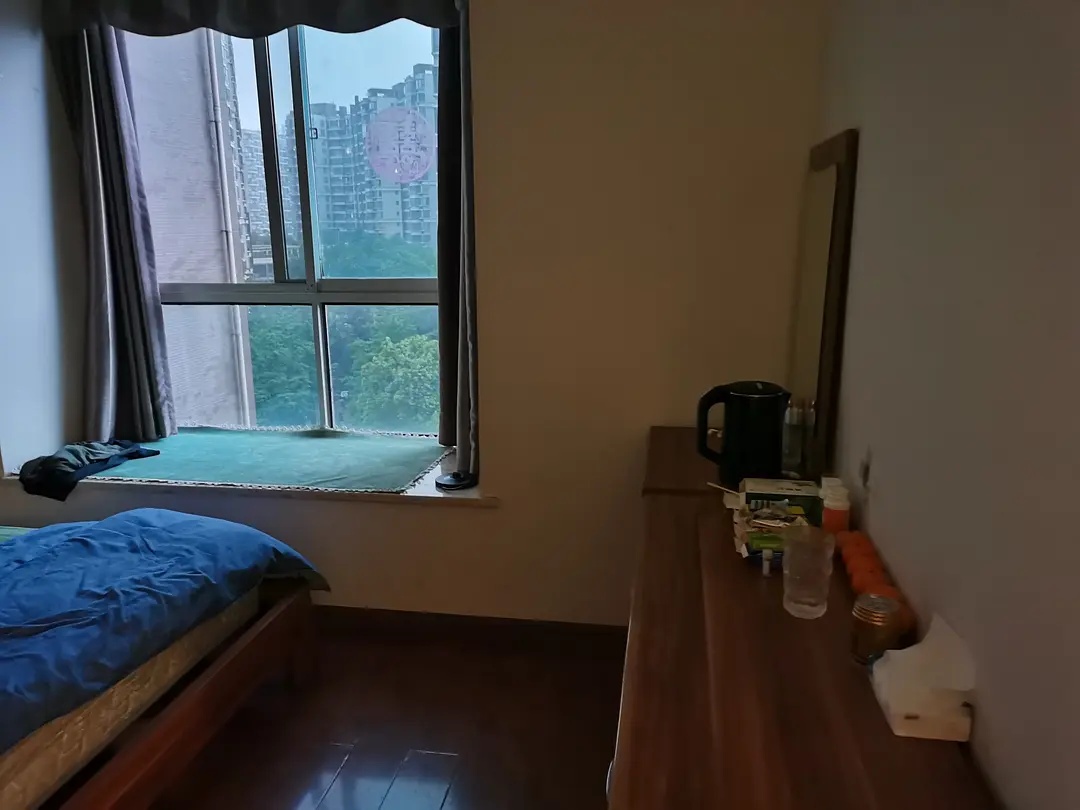 Chengdu Qingyang | 四川省青羊区苏坡街道培风路兴城融域_3