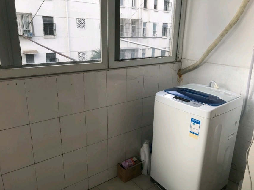Shanghai-Pudong-Clean&Comfy,Hustle & Bustle,Chilled,LGBTQ Friendly,Pet Friendly