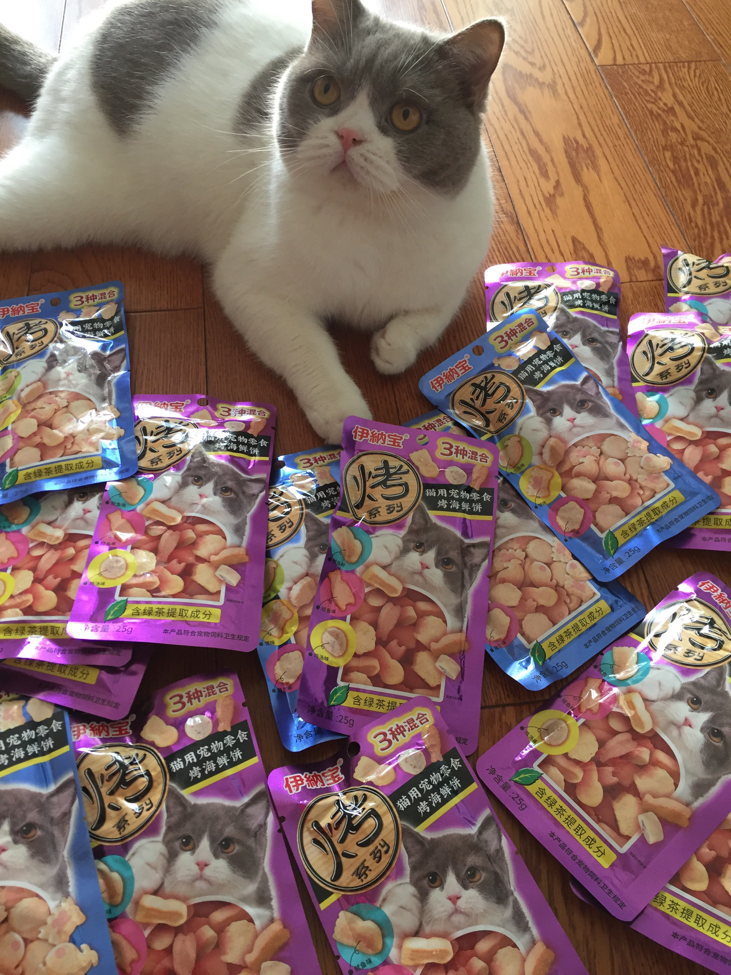 please give me something to eat ~:)_2