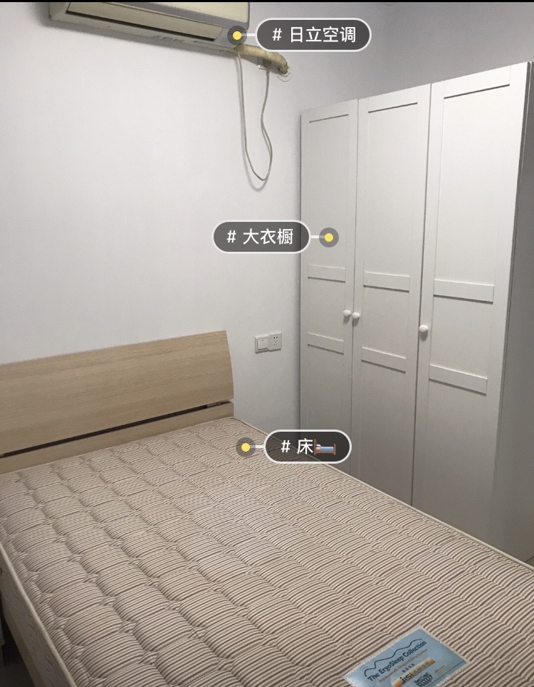 上海-浦東-溫馨小窩,乾淨治愈,不限性別,市井煙火氣,老友記,慢時光,LGBTQ友好,寵物友好