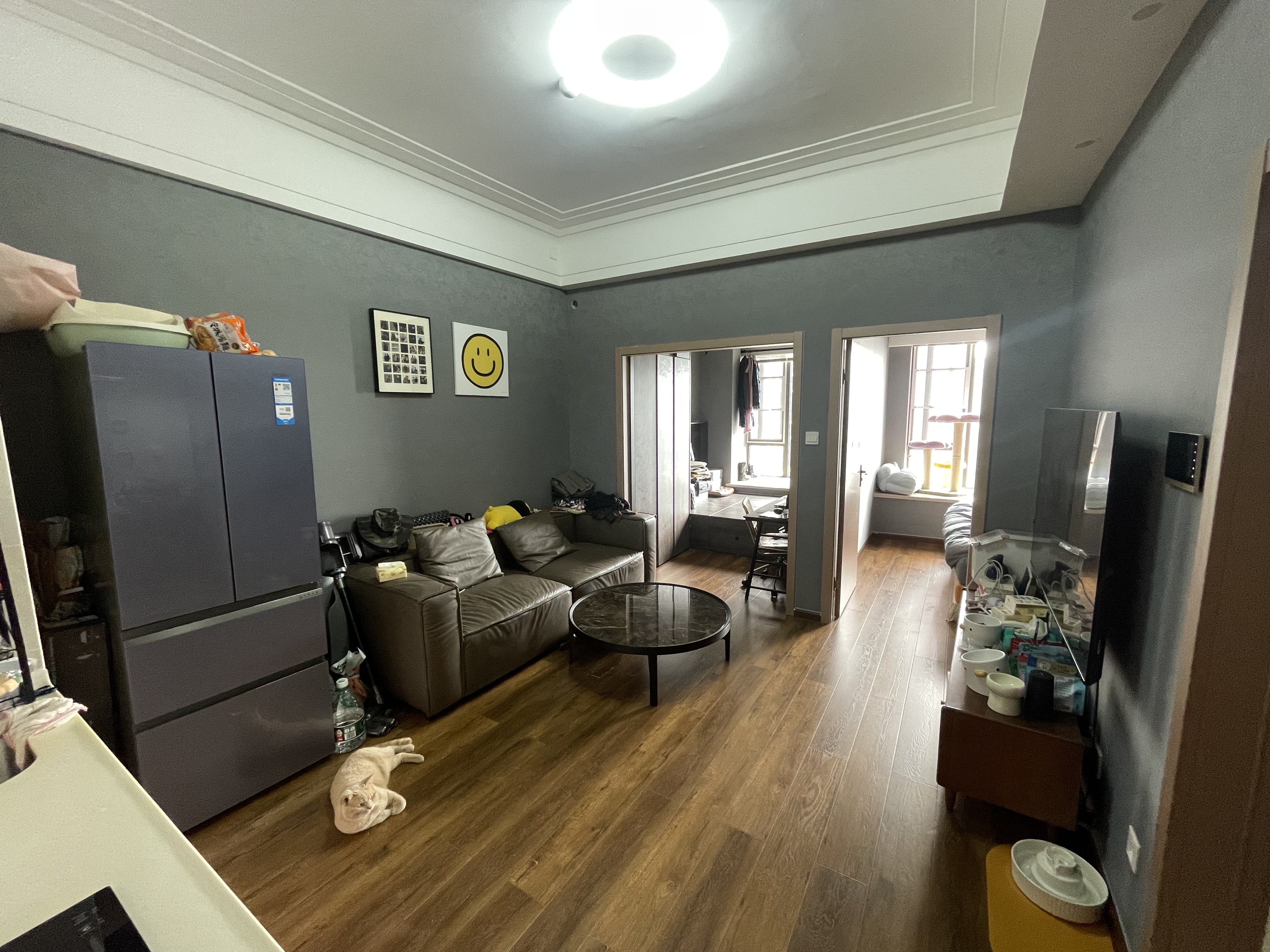 成都-双流-温馨小窝,干净治愈,不限性别,宠物友好