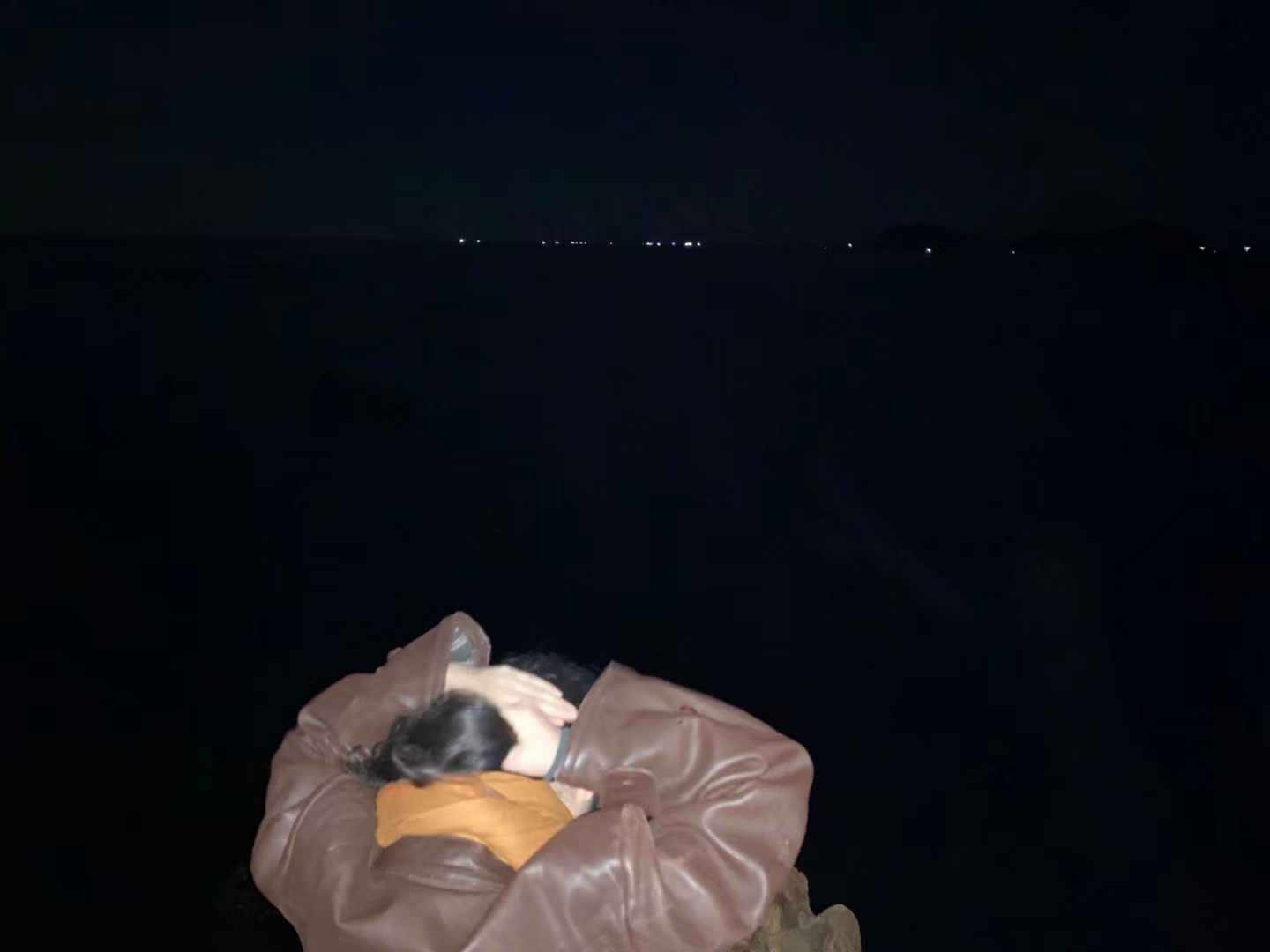 非专业梦境侦探