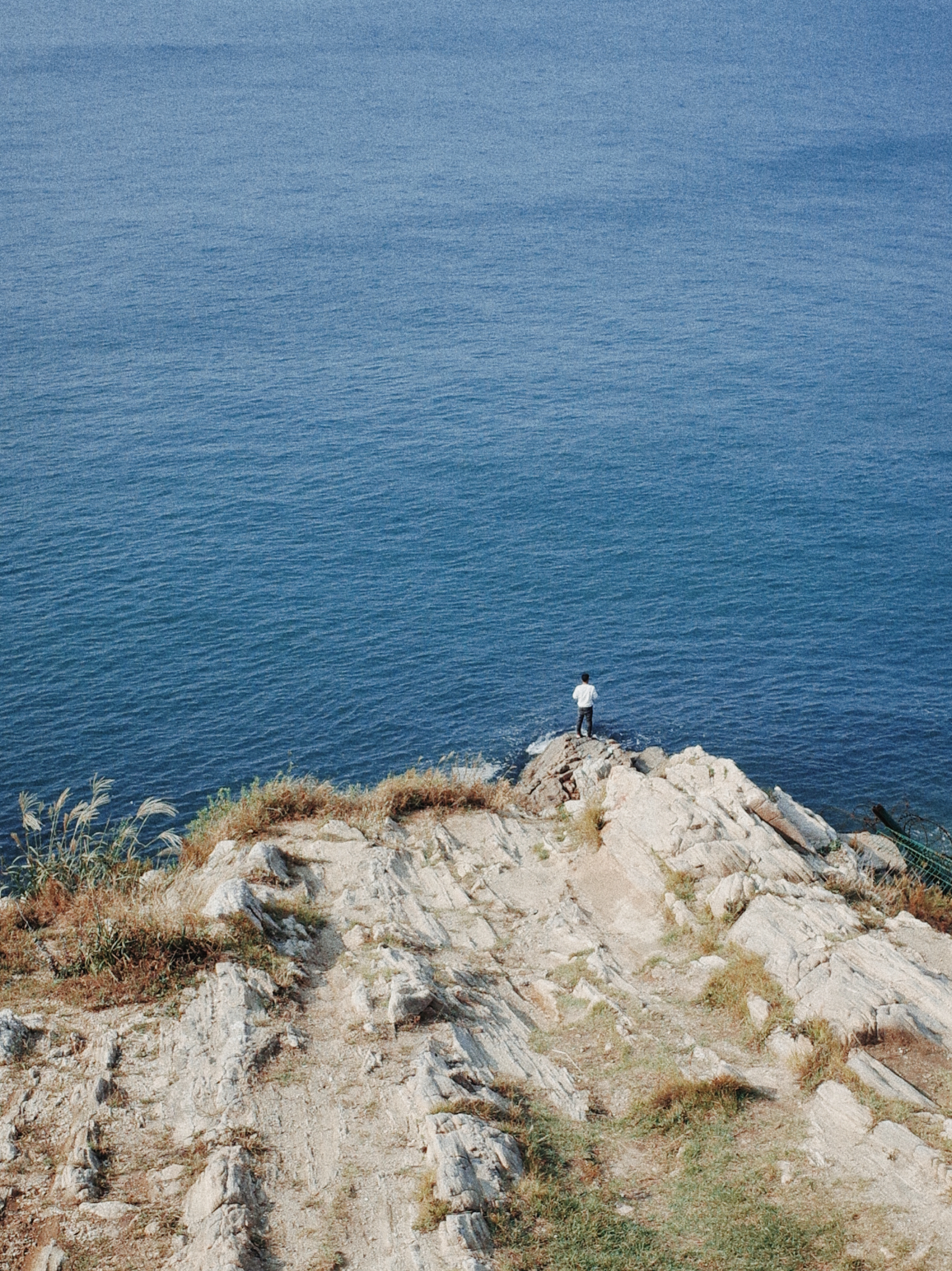 life_photo_0