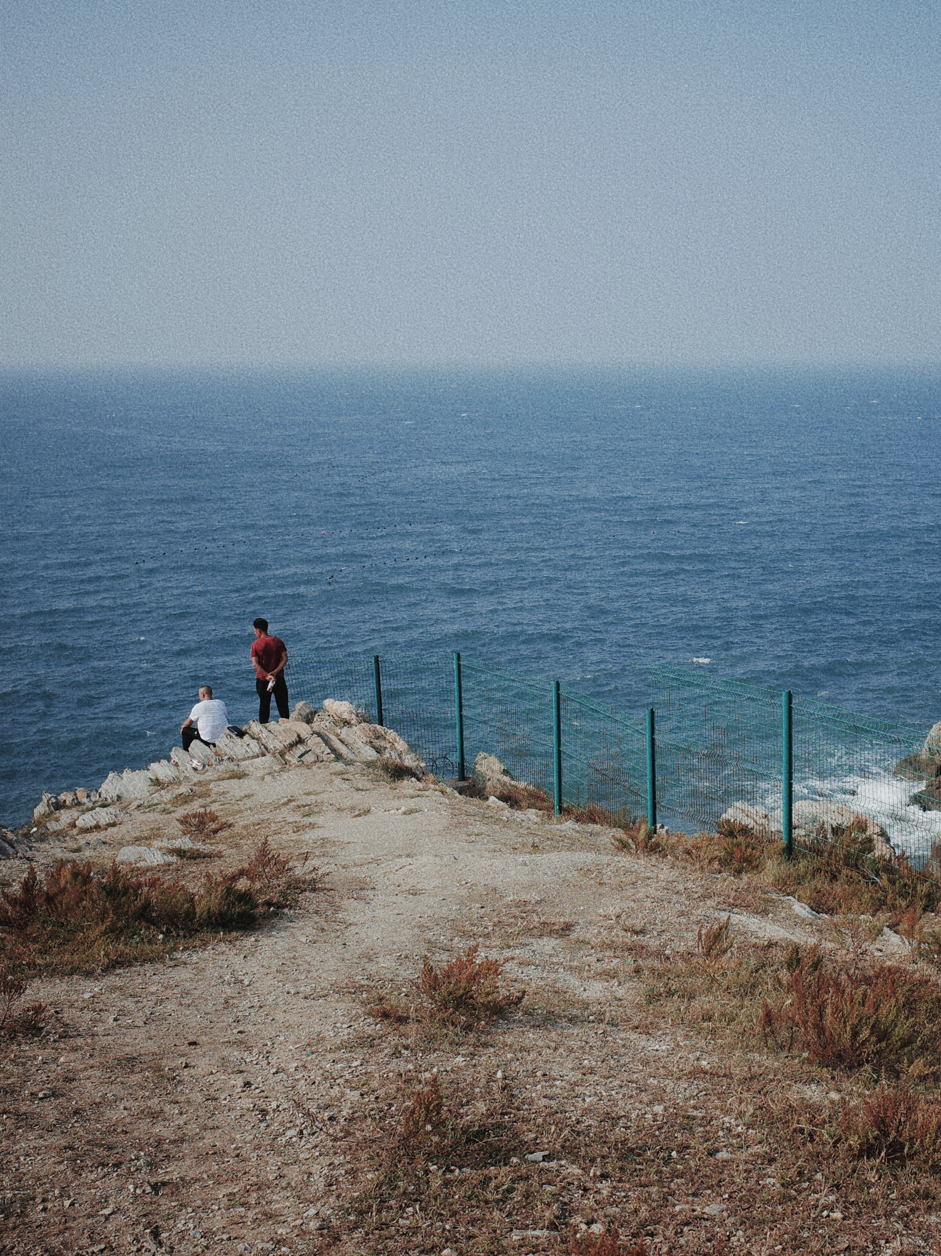 life_photo_2