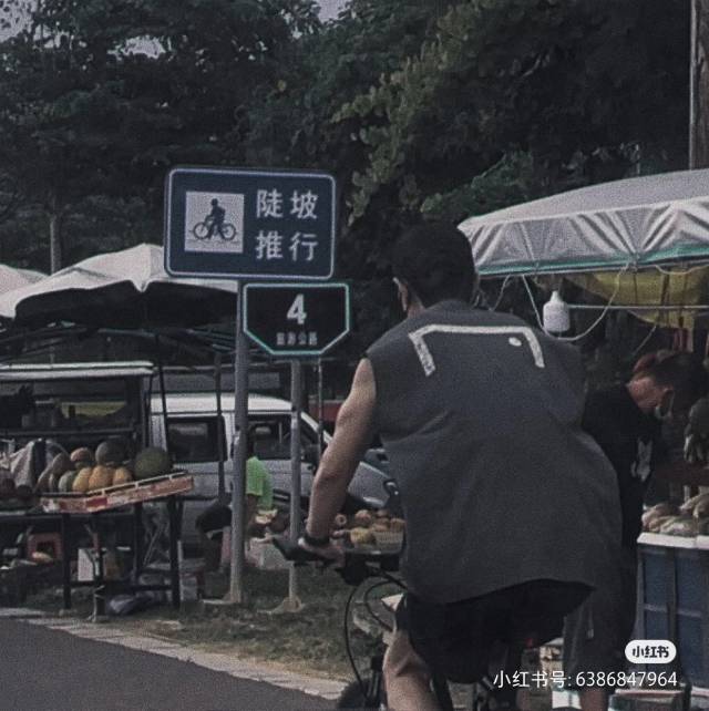 龙