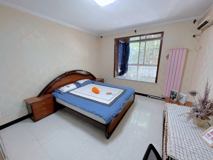 Shared Apartment