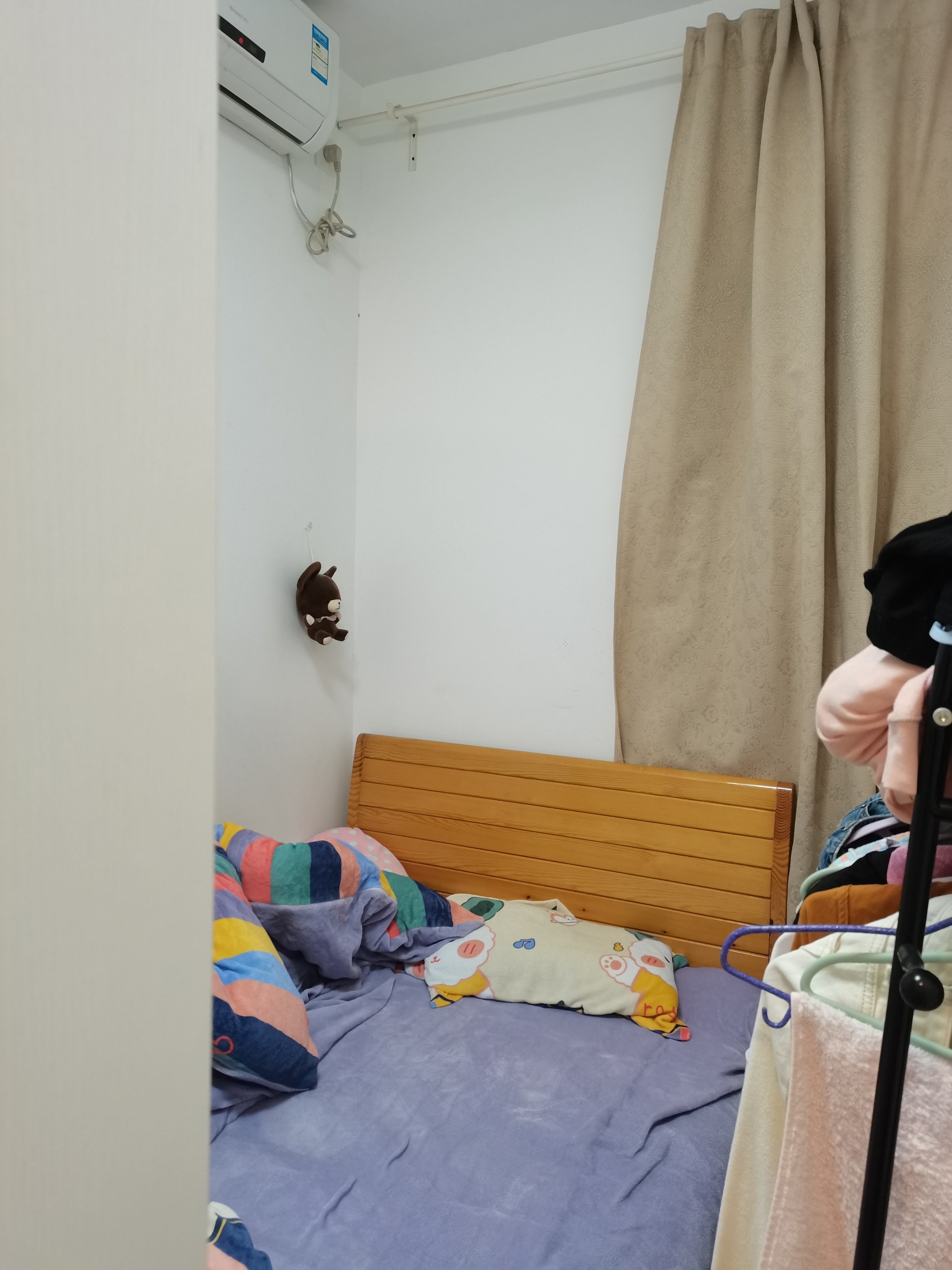 上海-徐匯-150RMB/晚,溫馨小窩,乾淨治愈,市井煙火氣,慢時光