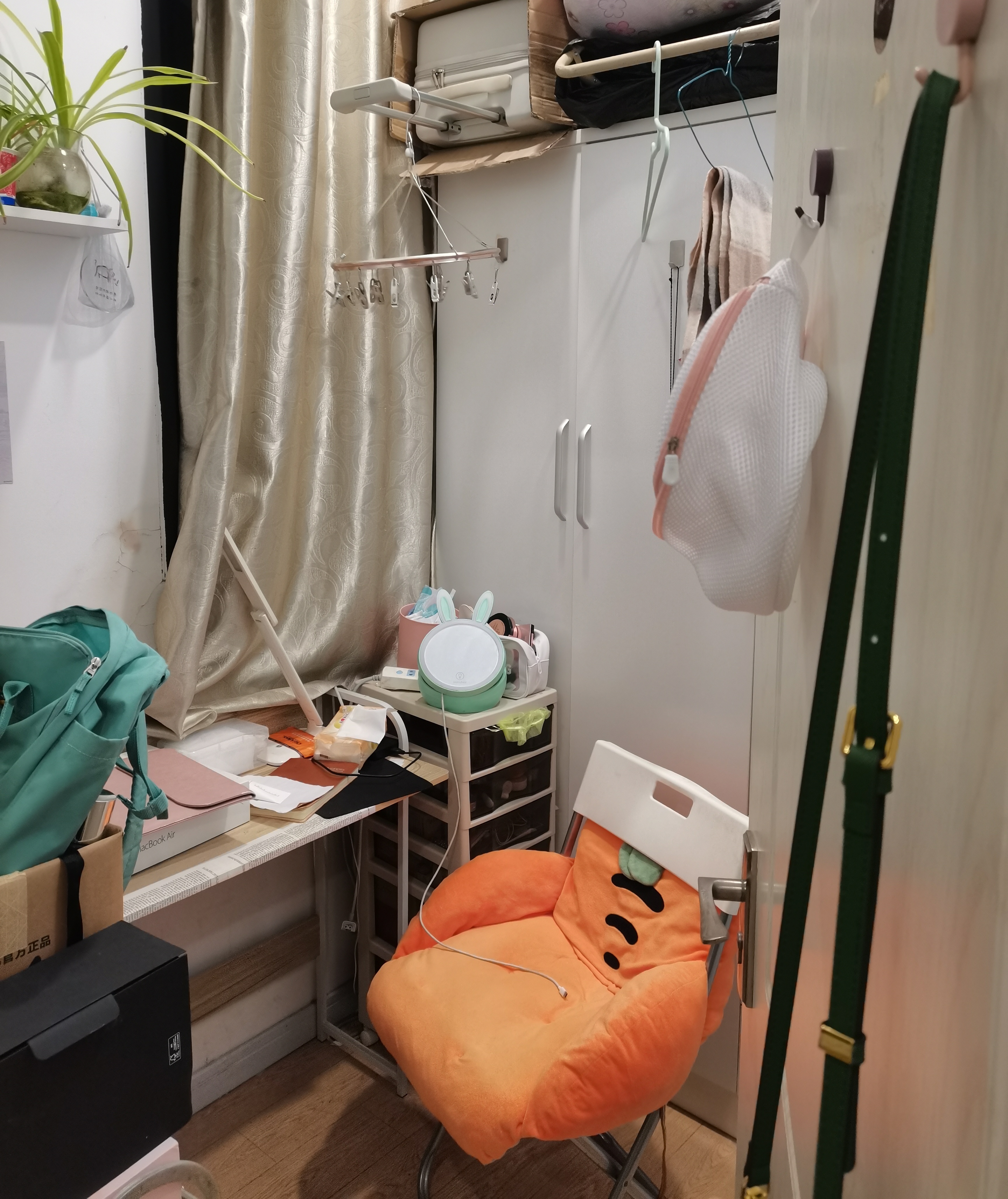 上海-徐匯-150RMB/晚,溫馨小窩,乾淨治愈,市井煙火氣,慢時光