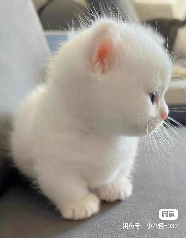 赵撼坤