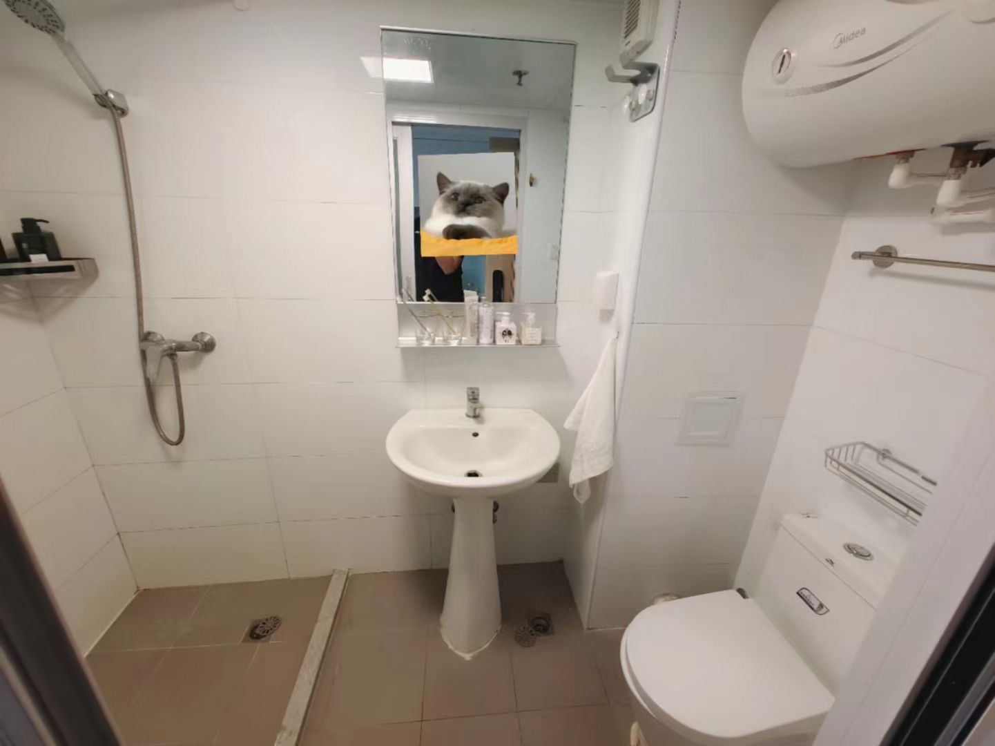 Single Apartment-Sublet