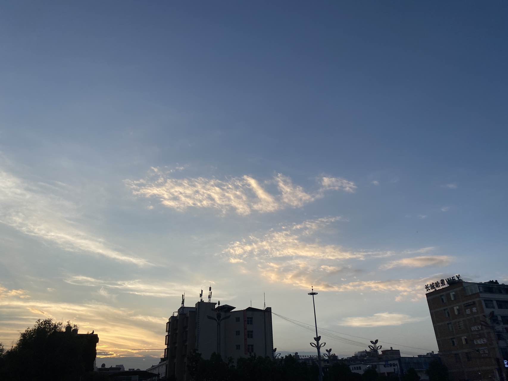 嬴政X