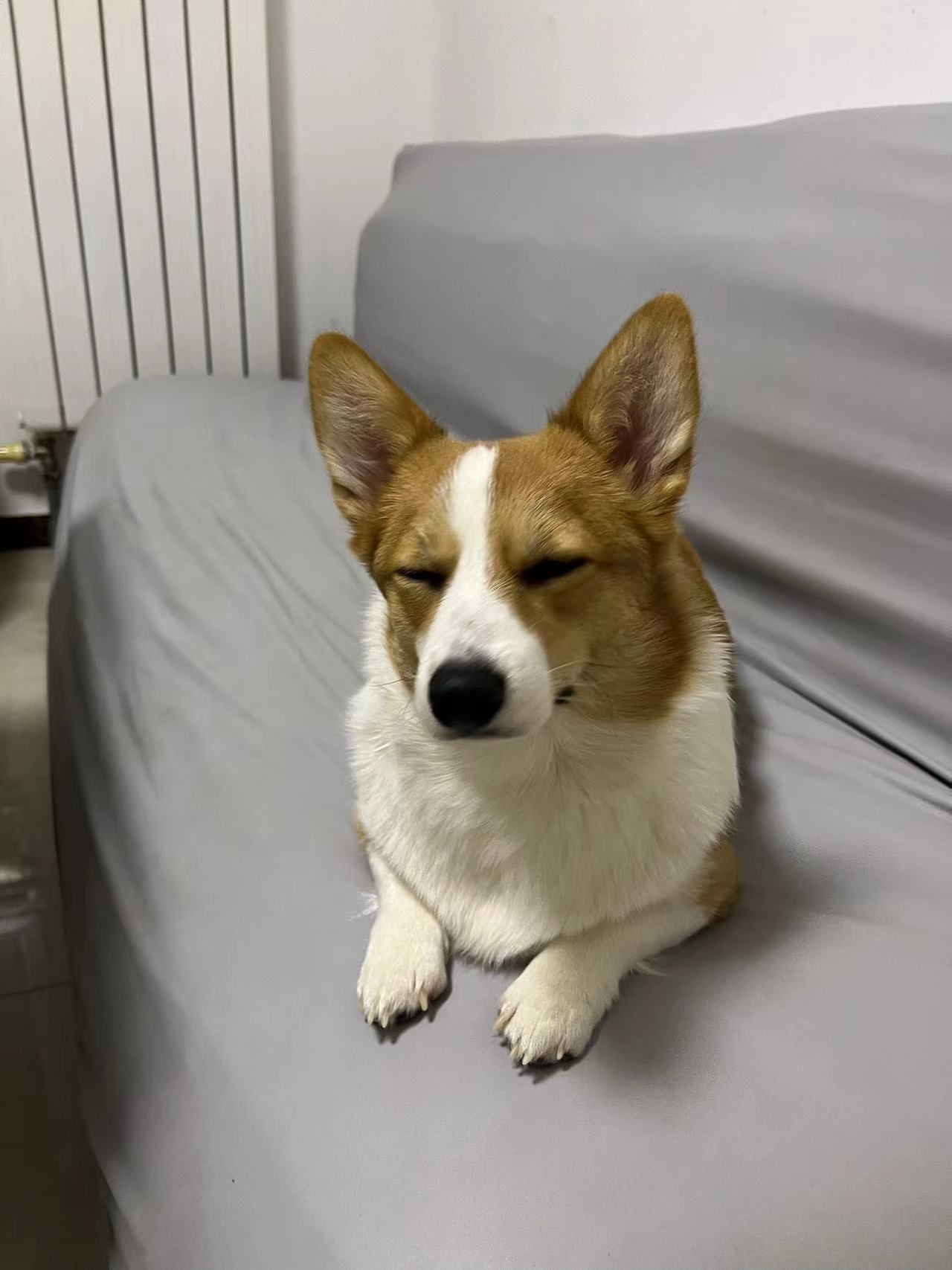 常俊