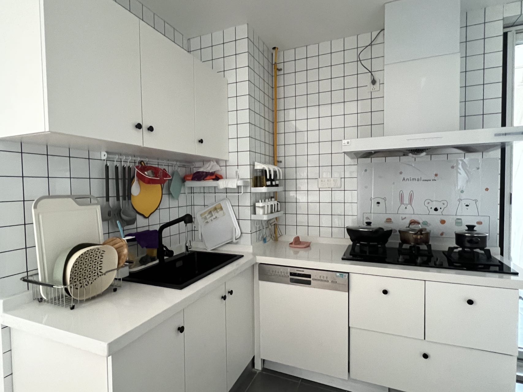 Chengdu-Hi-Tech Zone-Cozy Home,Clean&Comfy,No Gender Limit