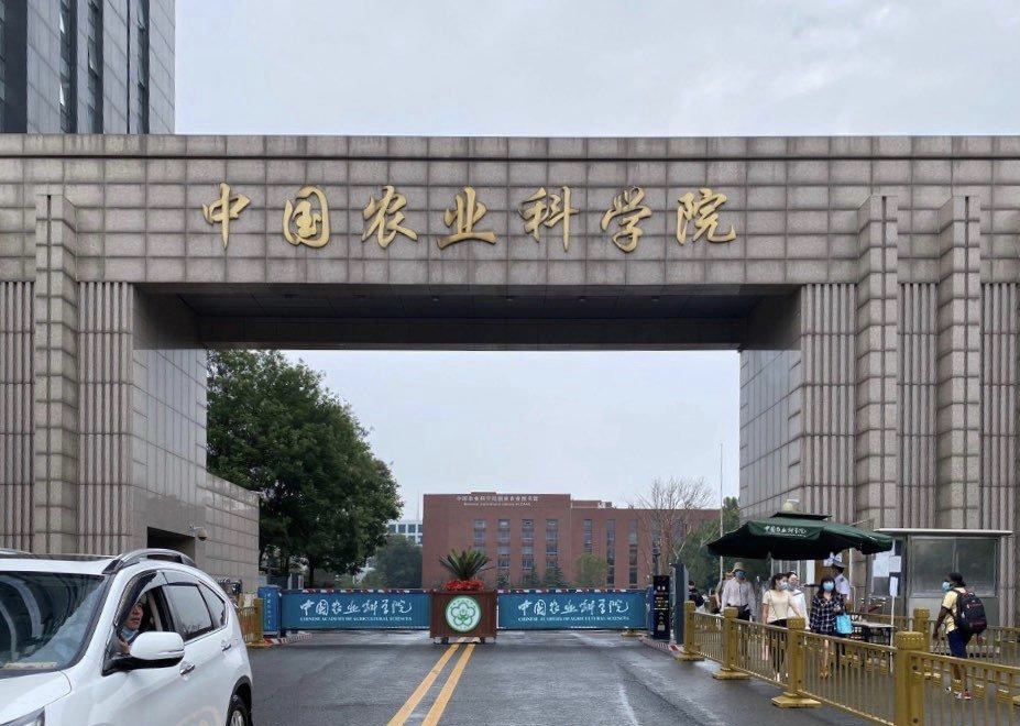 北京-海淀-温馨小窝,干净治愈,不限性别,市井烟火气
