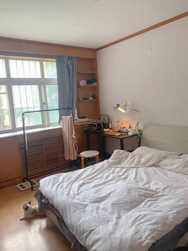 Shared Apartment-Seeking Flatmate-Long Term