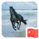 齐心协力（两室DT整）