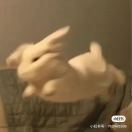 美荔