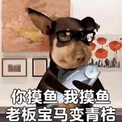 初来乍到不太会玩 