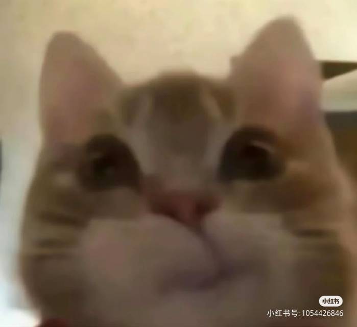 herman