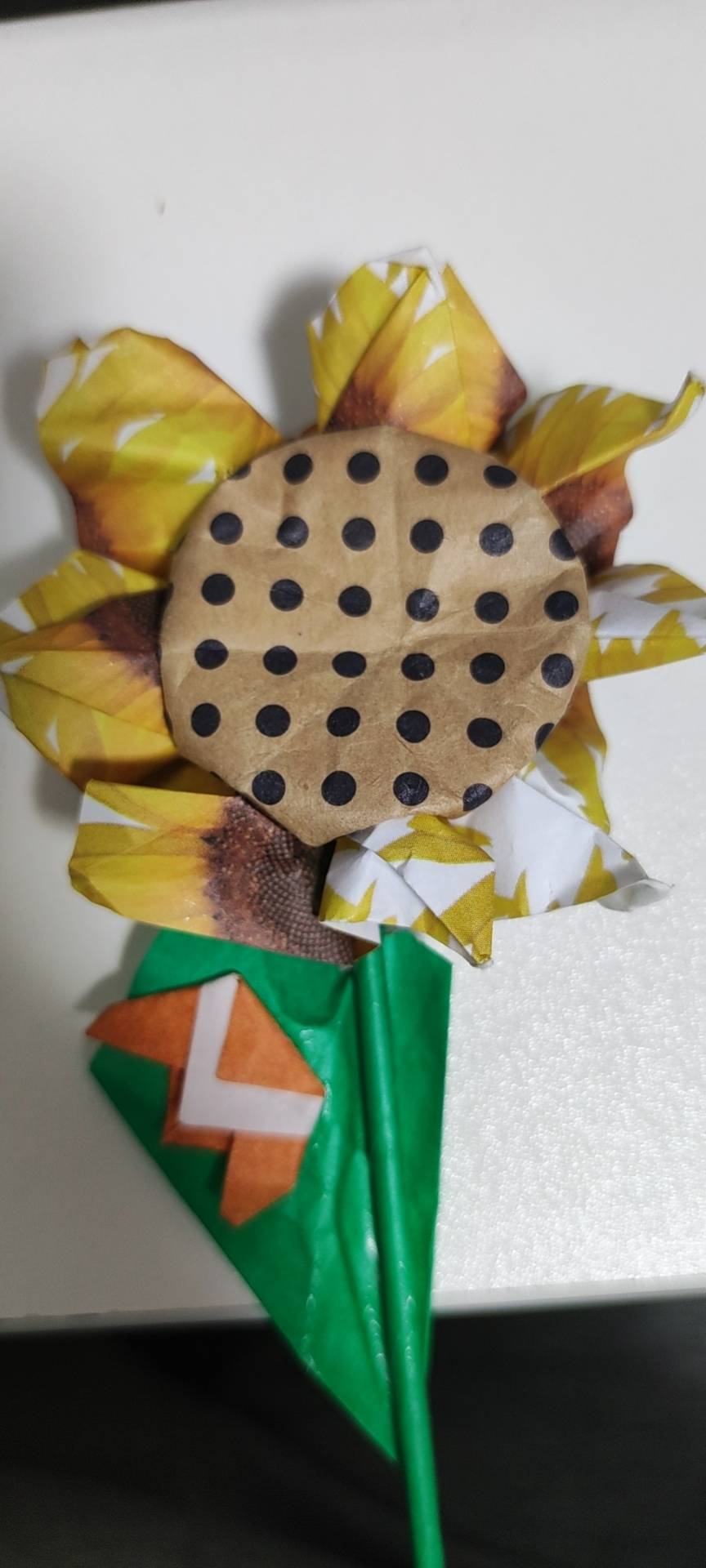 淮桐