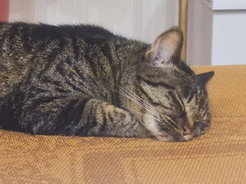 有房蹲室友上海5号线地铁口