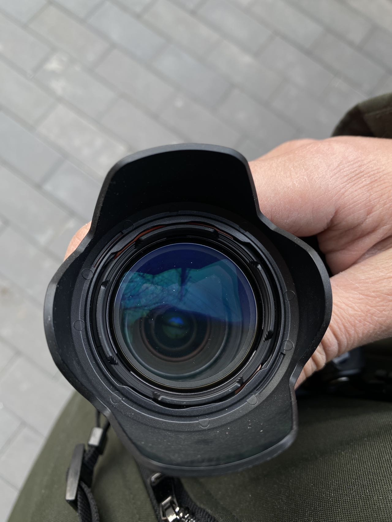 ccd数码相机红圈佳能pro1_2
