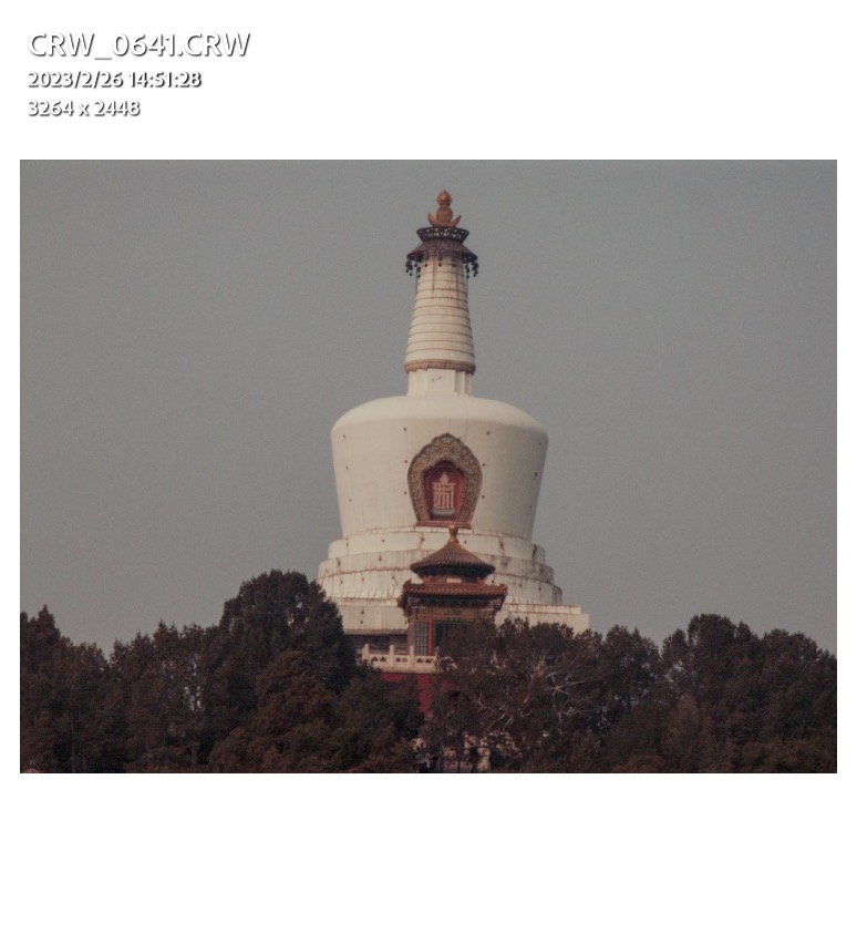ccd数码相机红圈佳能pro1_4
