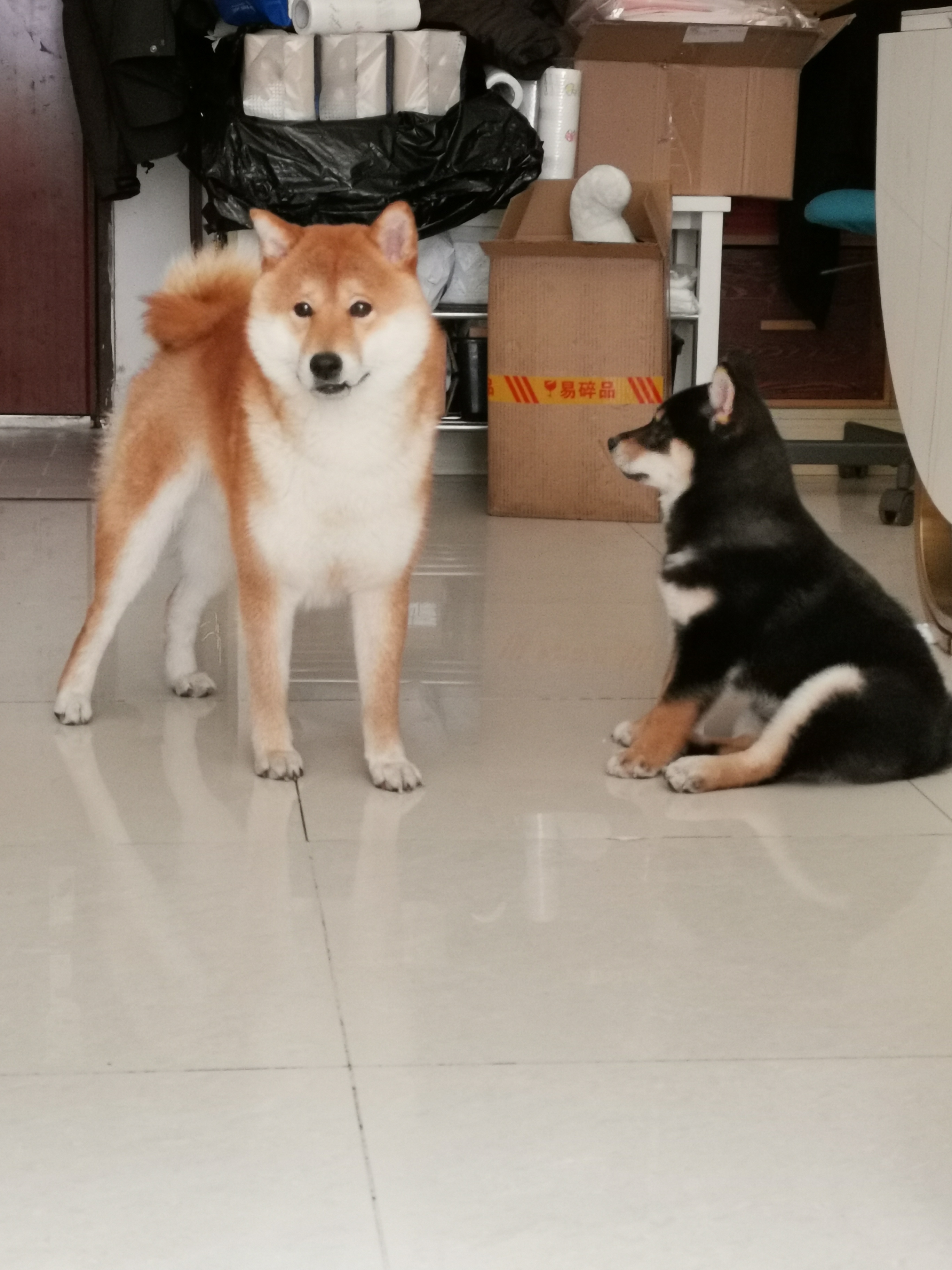 于敏