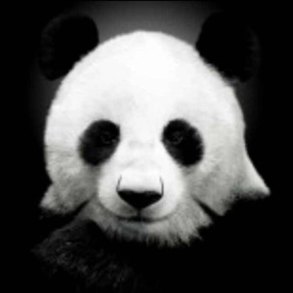 许杰